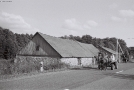 voran-2010