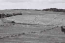 voutautsy-2009_0