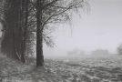 winter-landscapes-xiii-babounja-2012-2012009-f1120010