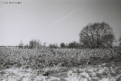 winter-landscapes-xiii-former-narkjevich-jodka-estate-nadnjoman-2012-2012007-f1080022