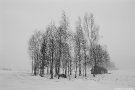 winter-scene-mjadzjel-district-2001-2001006-(25290029)