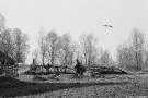 storks-return-kudrychy-2007-2007103-12
