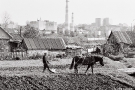 ploughing-before-pakrou-navahrudak-2000-19900008(2000162-