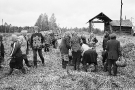 storing-potatoes-vjatchyn-2007-2007393-07