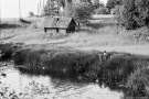 kazloushchyna-2008-2006156-12A