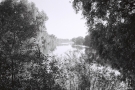 River Haryn', Davyd-Haradok 2015, F1190029(2015197a-