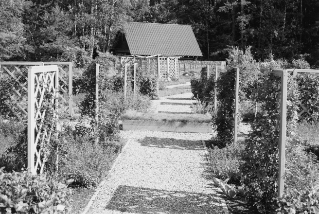 0b.Herbal-Garden-Аптэкарскі-сад-nr.-Hatavichy-Mjadzjel-District-2019-2019181d-23A