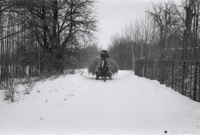 0b.Load of Hay, Slabada (Valozhyn District) 2019, 2019017a_10A