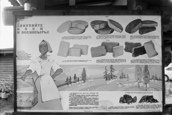 0e.1960s-Soviet-Hortatory-Board-Herbal-Garden-Аптэкарскі-сад-nr.-Hatavichy-Mjadzjel-District-2019-2019183-08