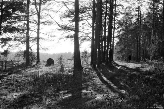 Babtsy Cemetery, 2014399-0A