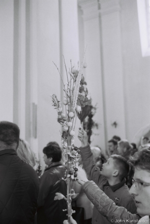 1.Third Mass, Palm Sunday, Iuje 2017, 2017052- (F1160017