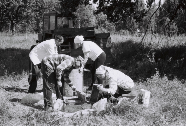 1.Collecting May Honey from Hives in the Forest, Bjerazy nr. Tsjerablichy 2018, 2018132b_34A