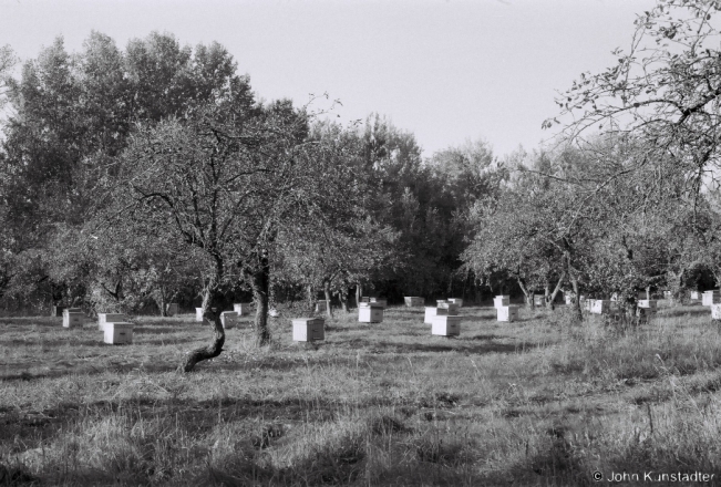 1.Aharodniki 2018, 2018267a_00A