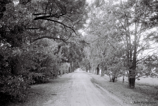 1.Allee-Former-Kosciuszko-Estate-Sjakhnovichy-Malyja-2013-2013186-8A