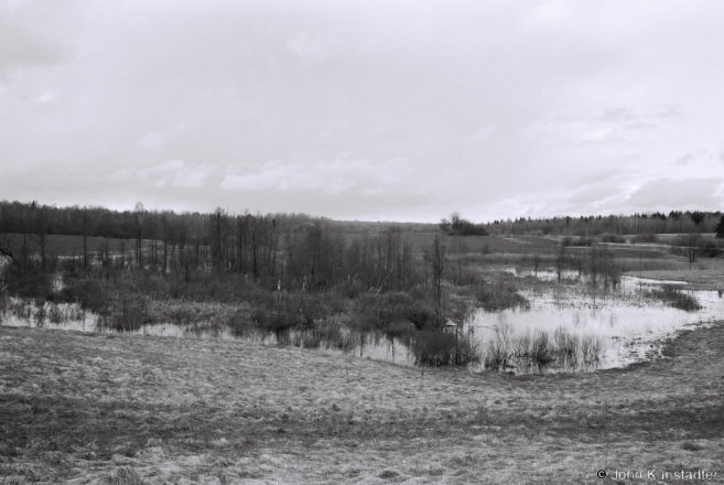 1.Spring Bog, Baradzino 2017, 2017094-28