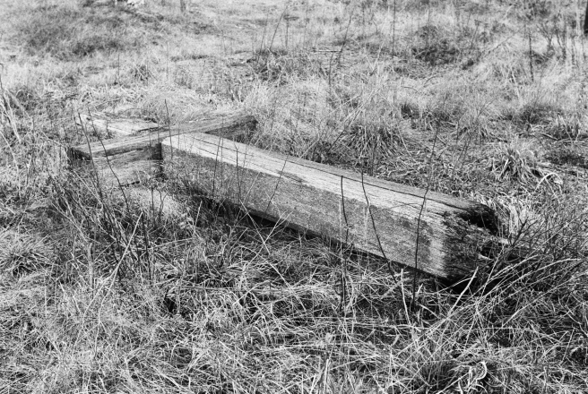 1.Cemetery-Parechcha-Pinsk-District-2020-2020019-29A