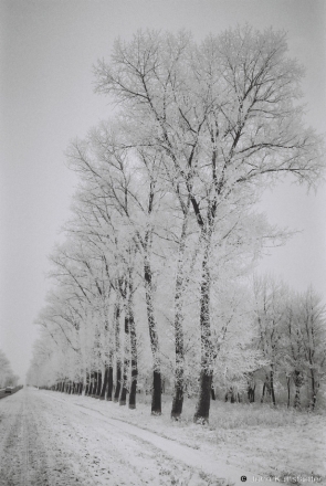 Slutsk-Staryja Darohi Road 2012, 2012010b-27.jpg