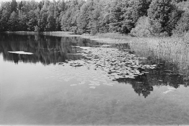 1.Lake-Lotviny-Lotva-Mjadzjel-District-2019-2019195-32A