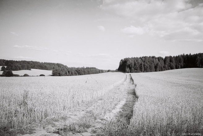1.Near Aharodniki (Valozhyn District) 2015, 2015301a-19A(000051