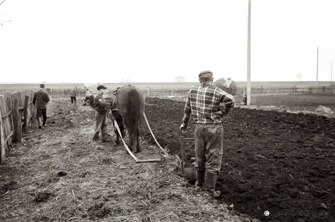 1.Planting-Potatoes-Tsjerablichy-2009-2009078-27
