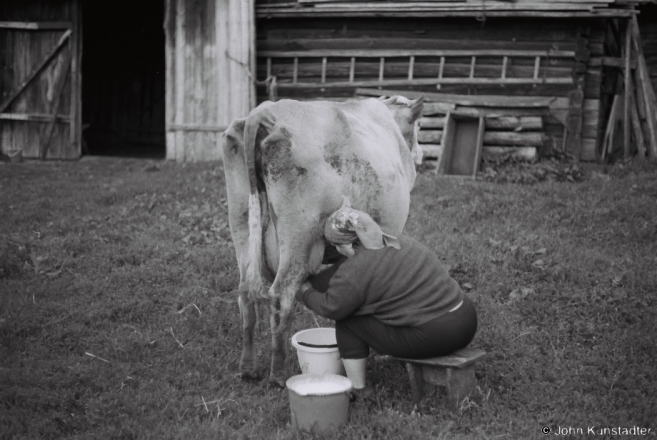 1.Polesian Rhythms, Evening Milking, Tsjerablichy 2015, F1130028(2015189-