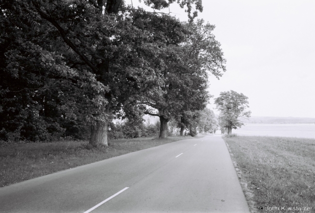 1.Remnant-of-Allee-Former-Estate-of-the-Shumski-and-Barouski-Families-Lukavjets-Lukaviec-2018-2018207c_24A