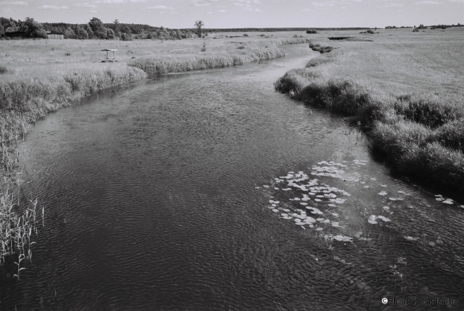 1.River-Ljabjada-at-the-R141-nr.-Dzikushki-Lida-Dist.-2014-2014248-13A