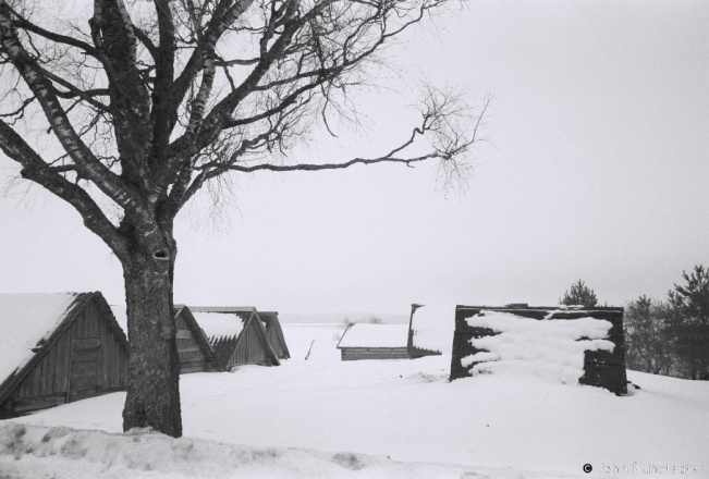 1.Root Cellars, Salamarechcha 2019, 2019018b_18A