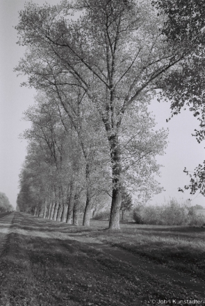 Indian Summer, Slutsk-Staryja Darohi Road 2014, F1000024(2014371c-