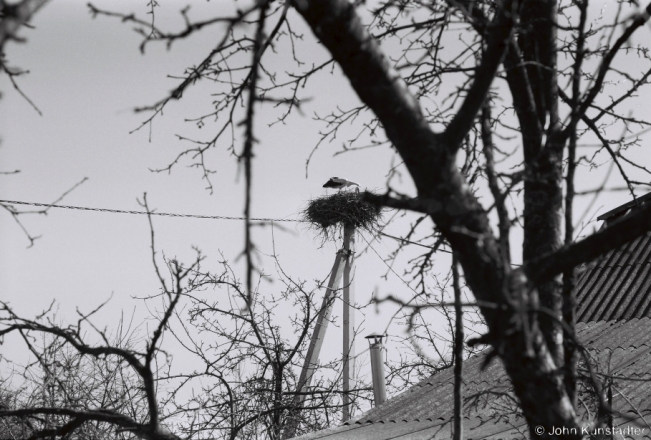 1.Storks, Tsjerablichy 2018, 2018053_17A