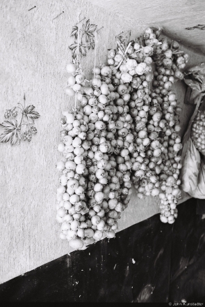 1.Strings of Onions, Tonjezh 2015,  2015281-8A(000038