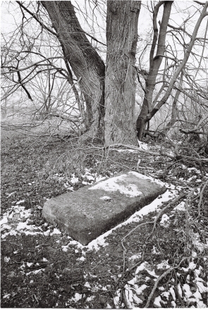1.Tombstone at Site of the Former Benedictine Monastery, Haradzishcha 2016, 2016093-25A (000057