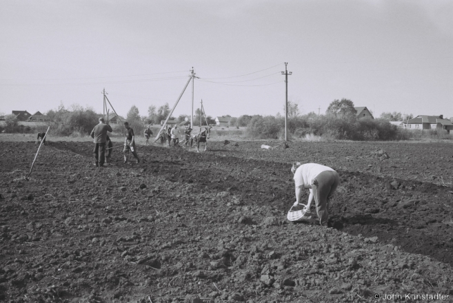 Planting Potatoes, Tsjerablichy 2014, 2014131-7A.jpg