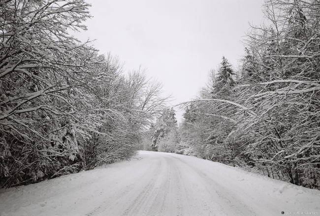 1.Tsjeshaulja-Ljushnjeva Road 2016, 2016007-27A(2) (000061