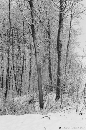 Winter Landscape, Mjensk-Ashmjany Road 2008, 2008083-24A