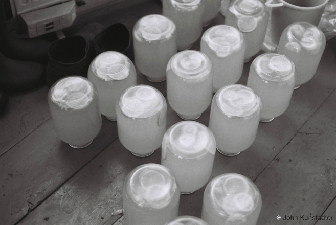 10.Freshly-Jarred-Birch-Juice-Tsjerablichy-2012-2012087-29A
