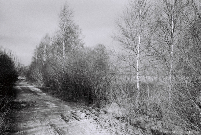 10b.Winter Light by Staradvoryshcha 2018, 2018008- (F1180029