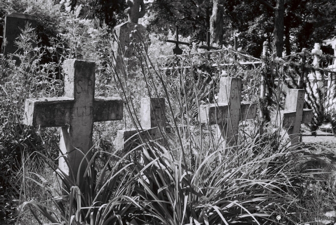 10c.Roman-Catholic-Cemetery-Varnjany-2016-2016235-5A