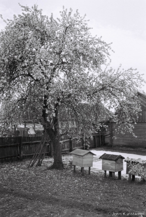 Spring, Machul' 2014, 2014152-1A