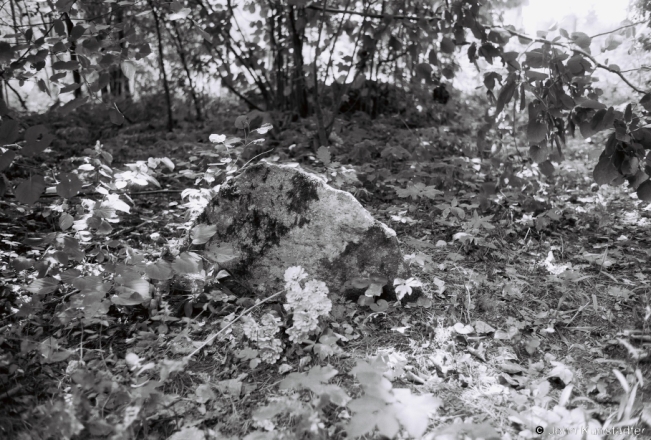 11.Pre-Christian-Gravestone-каменная-яцьвяжская-паганская-магіла-Maljavichy-2018-2018209_02A
