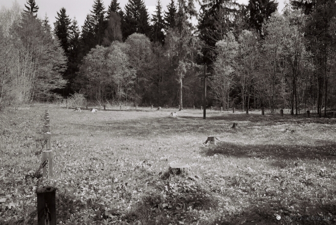 11a.World-War-I-Cemeteries-LIX-German-WWI-Cemetery