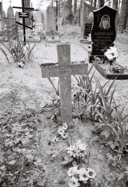11b.World-War-I-Cemeteries-LXVII-German-Cemetery-Including-Reused-Crosses-Ukrapjenka-2016-2016168a-4A