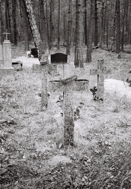 11f.World-War-I-Cemeteries-LXVII-German-Cemetery-Including-Reused-Crosses-Ukrapjenka-2016-2016168a-8A