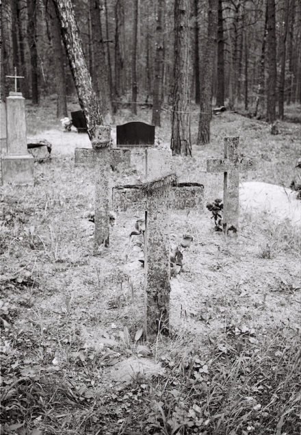 11f.World-War-I-Cemeteries-LXVII-German-Cemetery-Including-Reused-Crosses-Ukrapjenka-2016-2016168a-8A