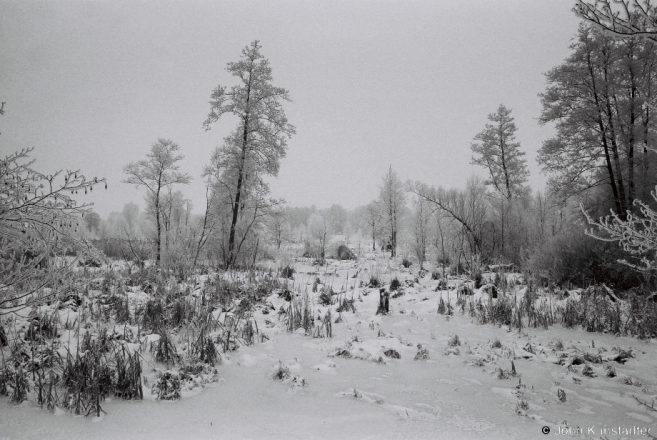 11i.River Ros', Lichytsy 2017, 2017012- (F1080002