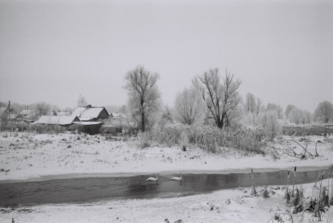 11j.River Ros', Lichytsy 2017, 2017012- (F1080008