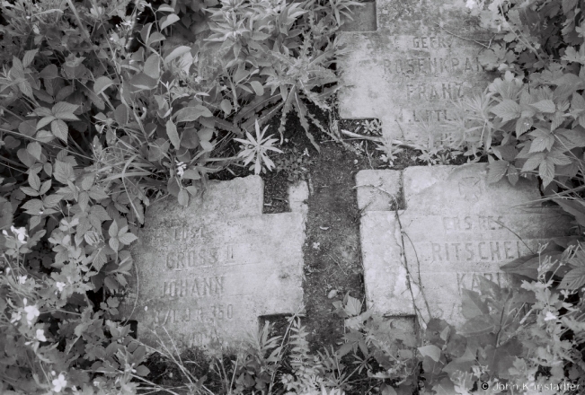 12c.World War I Cemeteries XXII, German War Graves, Kalodna 2018, 2018118_19A