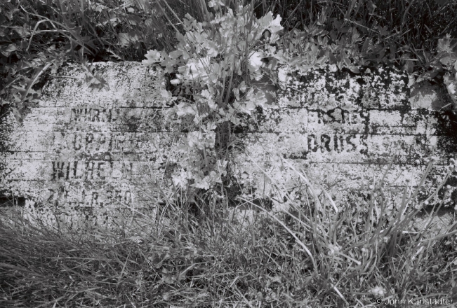 12d.World War I Cemeteries XXII, German War Graves, Kalodna 2018, 2018118_24A