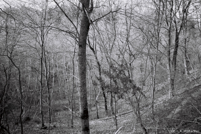 13e.Ravine-Яр-Trokeniki-2014-2014117-27A