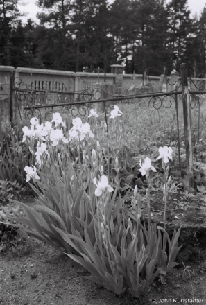 15d.Iris, Narach Cemetery 2018, 2018119a_30A